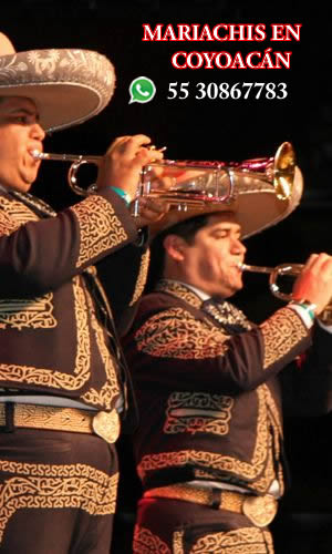 mariachis en coyoacan tocando trompeta 